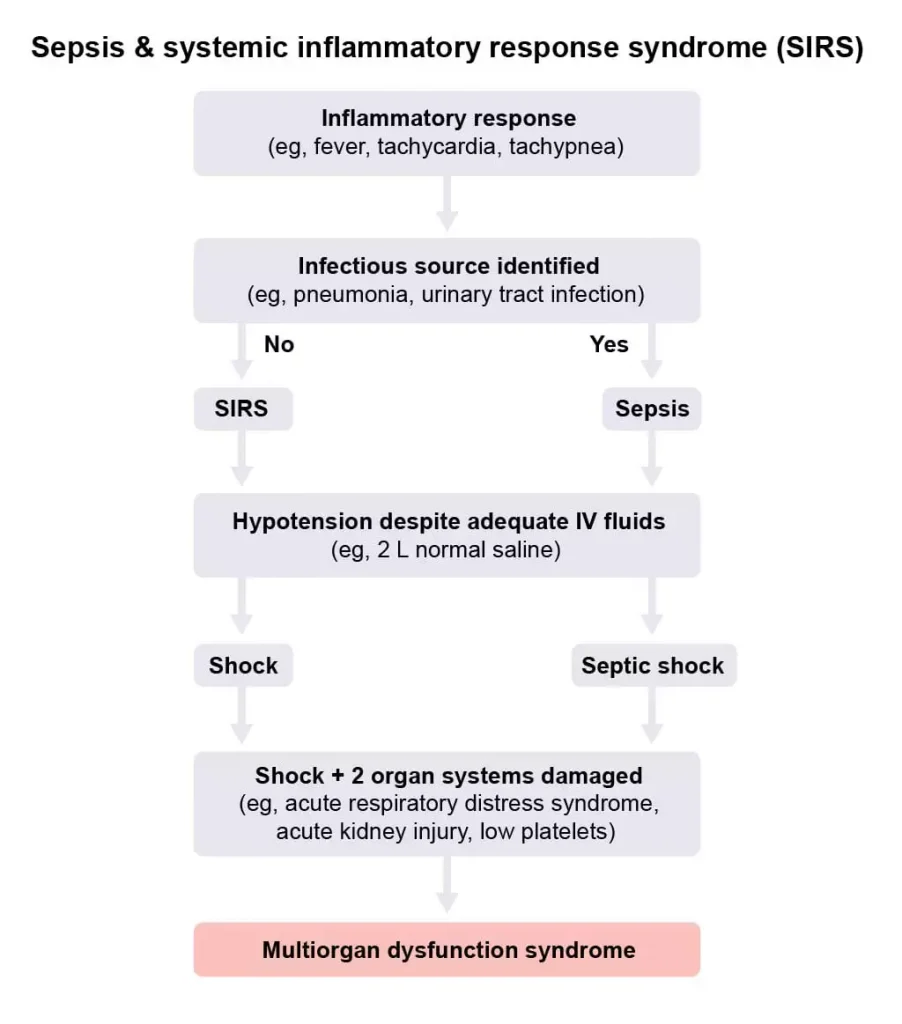 Flowchart image of sepsis & systemic inflammatory response syndrome from UWorld’s Learning Platform for Nursing.