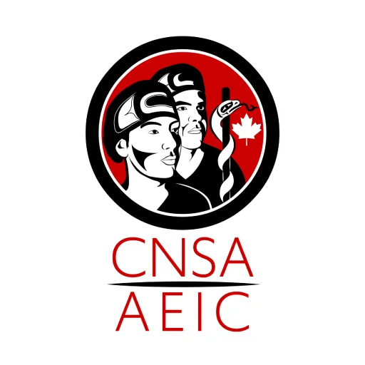 CNSA logo