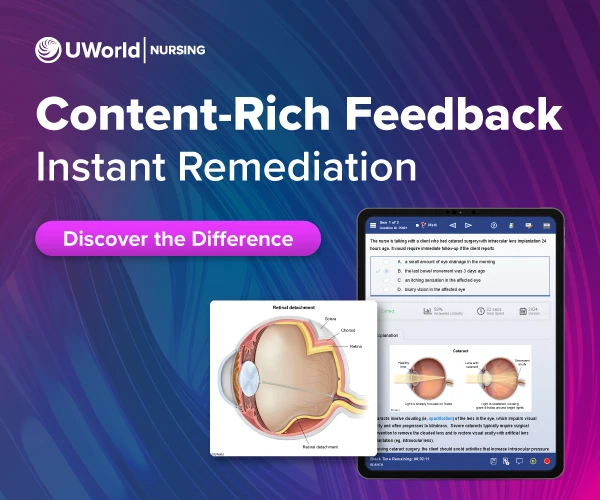 Content-rich feedback